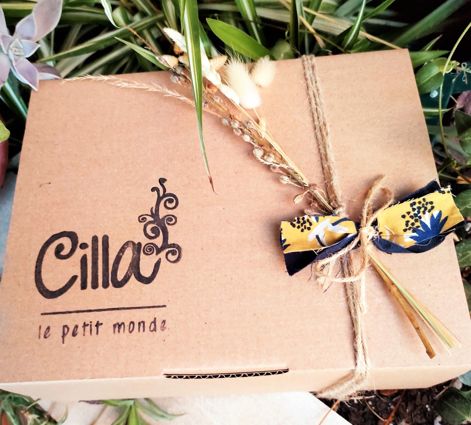 Box Cura del Viso ~ Maticao - Cilla Le Petit Monde